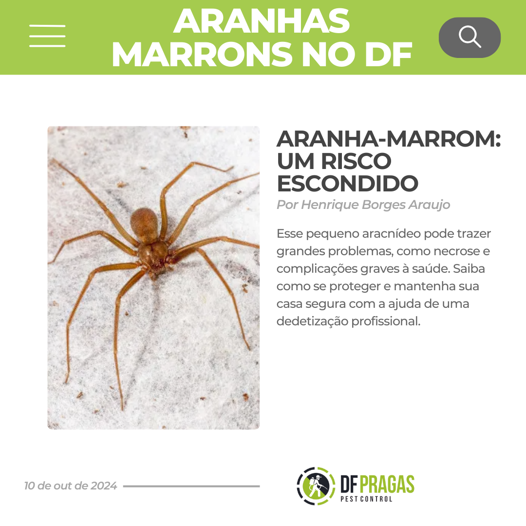 Imagem de uma aranha-marrom em Brasília, destacando os riscos à saúde e a necessidade de controle profissional para proteção residencial.