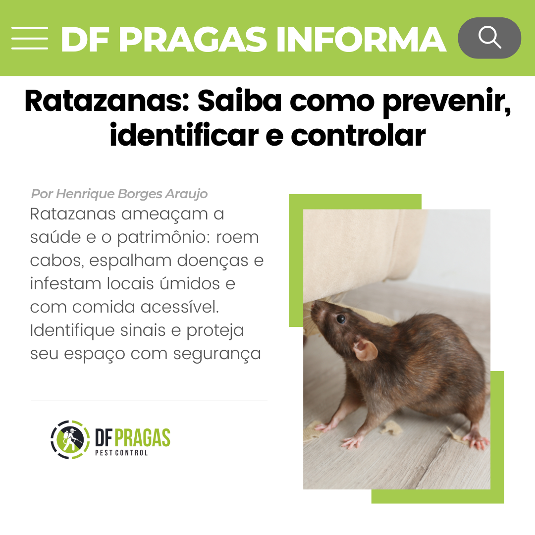 Ratazanas: Prevenção, Identificação e Controle