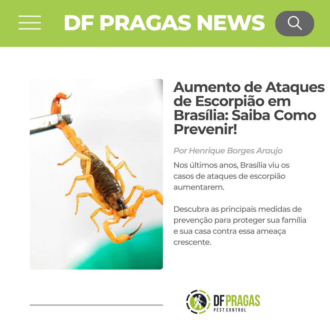 Imagem de um escorpião sendo manuseado com uma pinça, destacando a urgência sobre o aumento de ataques de escorpiões em Brasília.