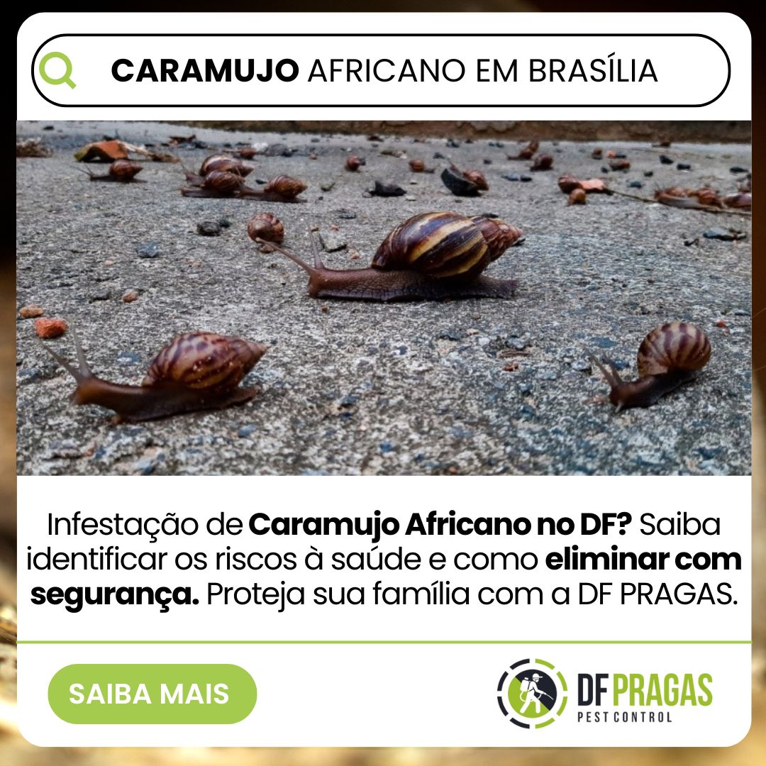 Infestação de Caramujo Africano em Brasília: Banner da DF PRAGAS sobre riscos à saúde e controle seguro da Achatina fulica no DF.