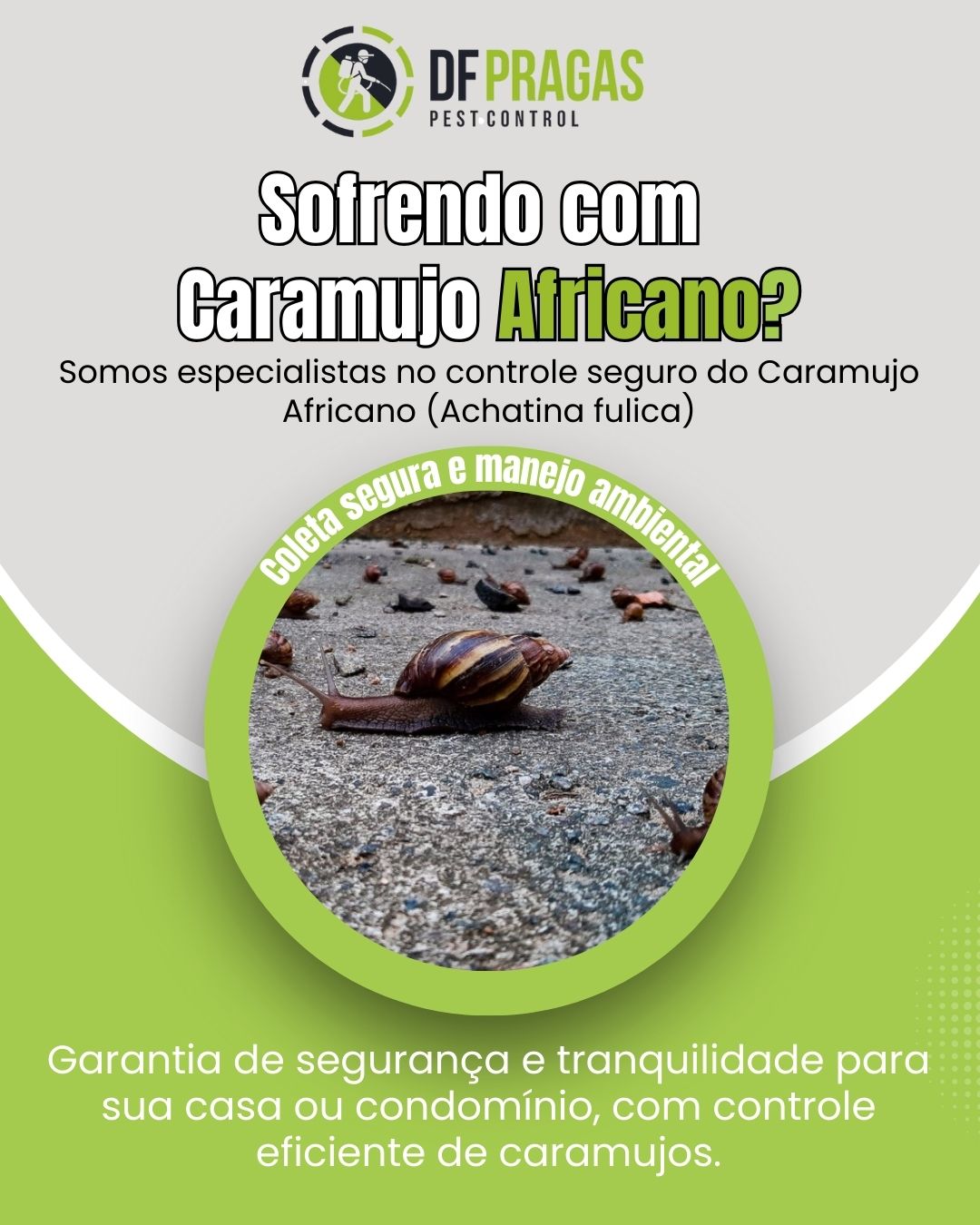 Controle de Caramujo Africano em Brasília realizado pela DF PRAGAS