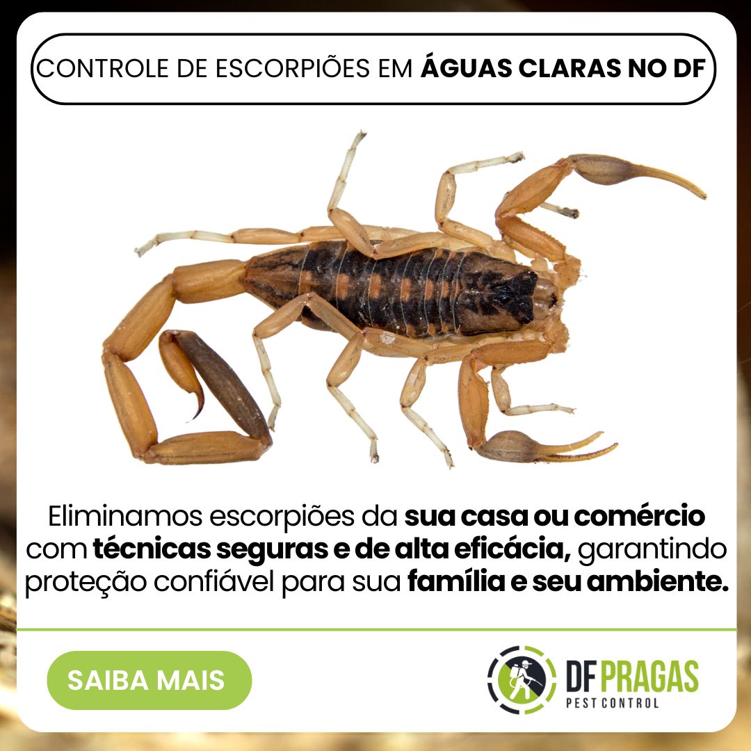 Controle de Escorpiões em Águas Claras