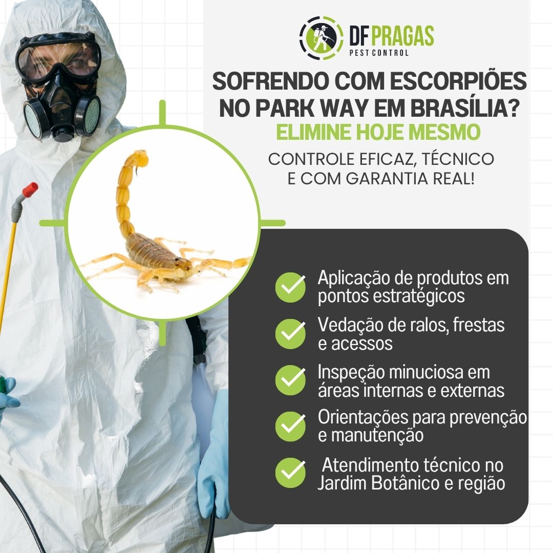 Profissional da DF PRAGAS equipado para o controle de escorpião no Park Way.