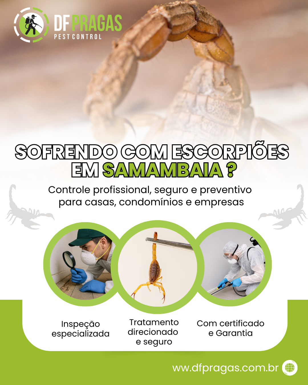 Controle de Escorpiões em Samambaia DF - DF Pragas