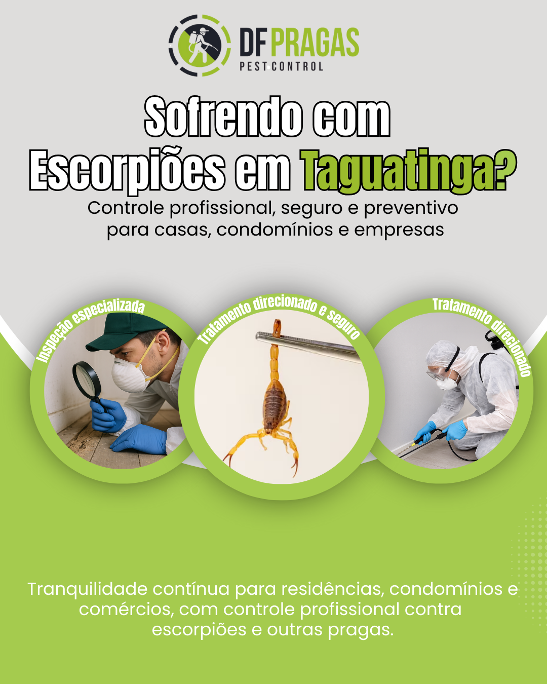 Serviço de controle de escorpiões em Taguatinga DF pela DF Pragas.