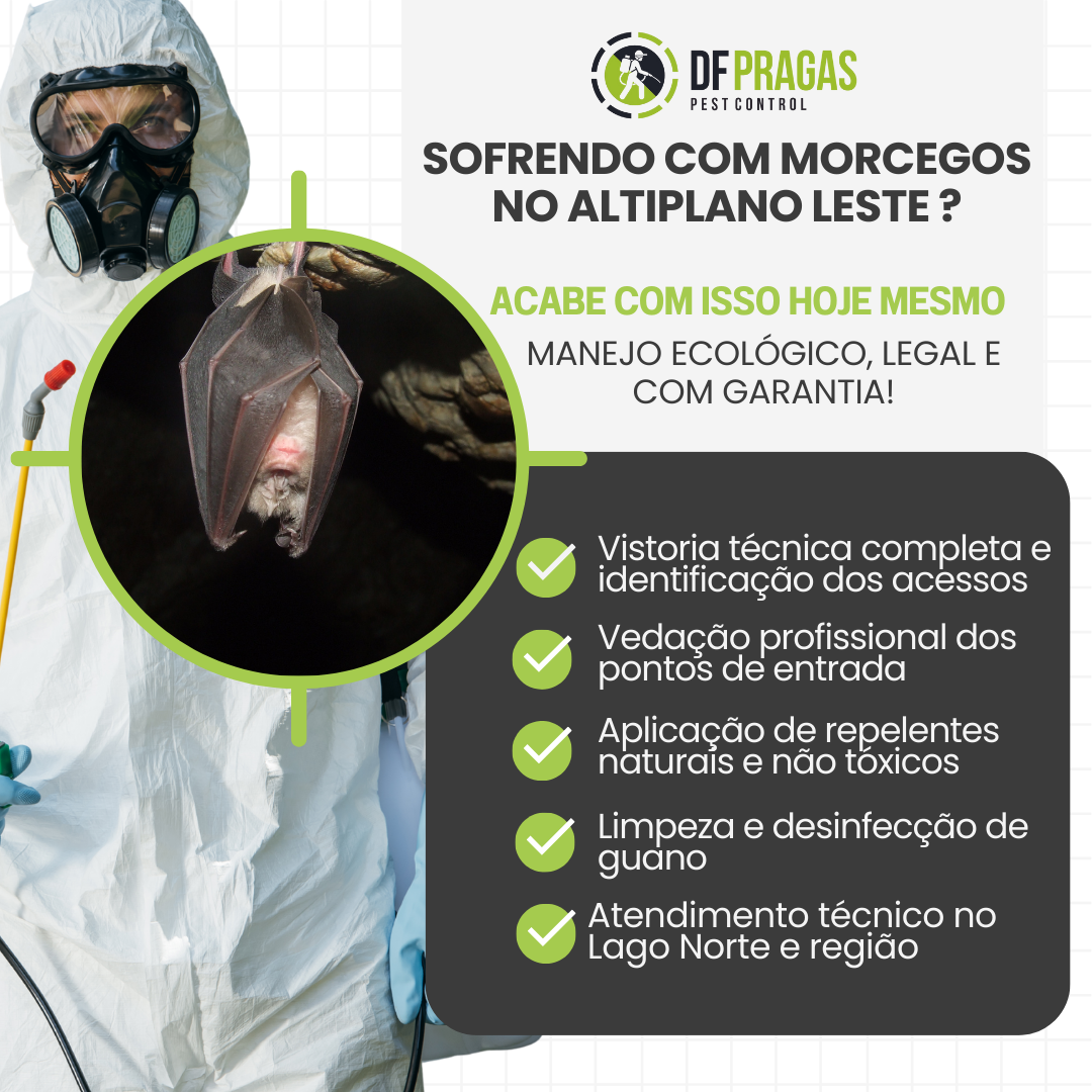 Serviço de controle e manejo de morcegos no Altiplano Leste, Brasília.