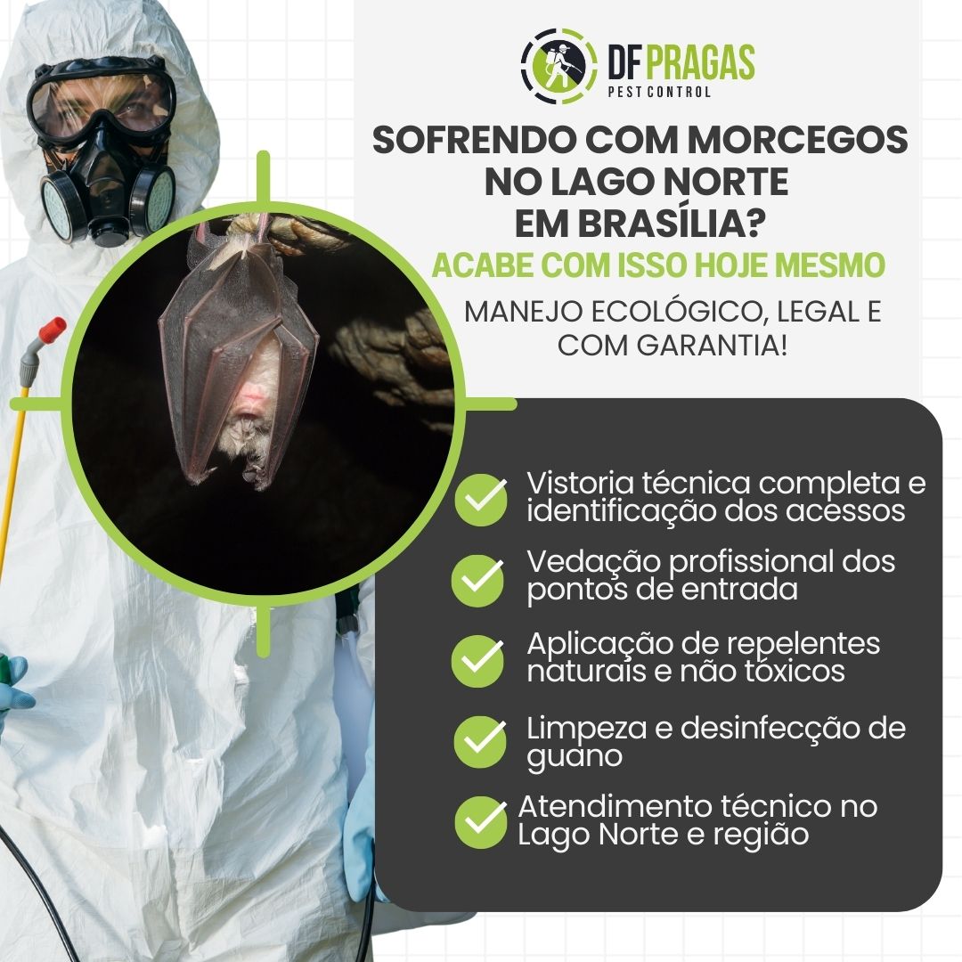 Serviço de controle e manejo de morcegos no Lago Norte, Brasília.