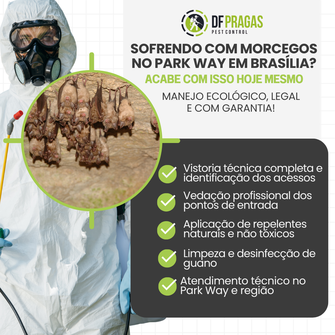 Serviço de controle e manejo de morcegos no Park Way, Brasília.