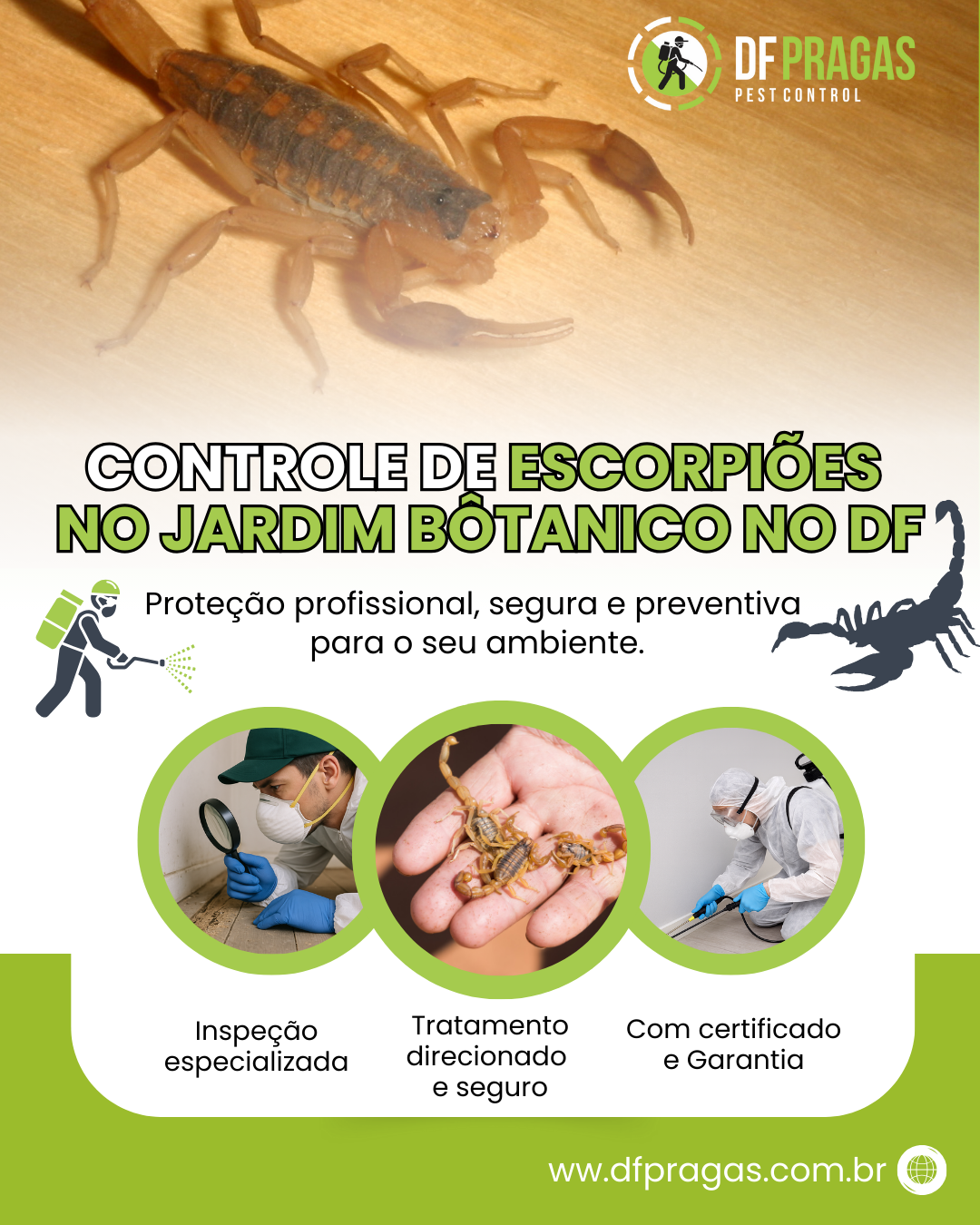 Controle de Escorpiões no Jardim Botânico DF - DF Pragas
