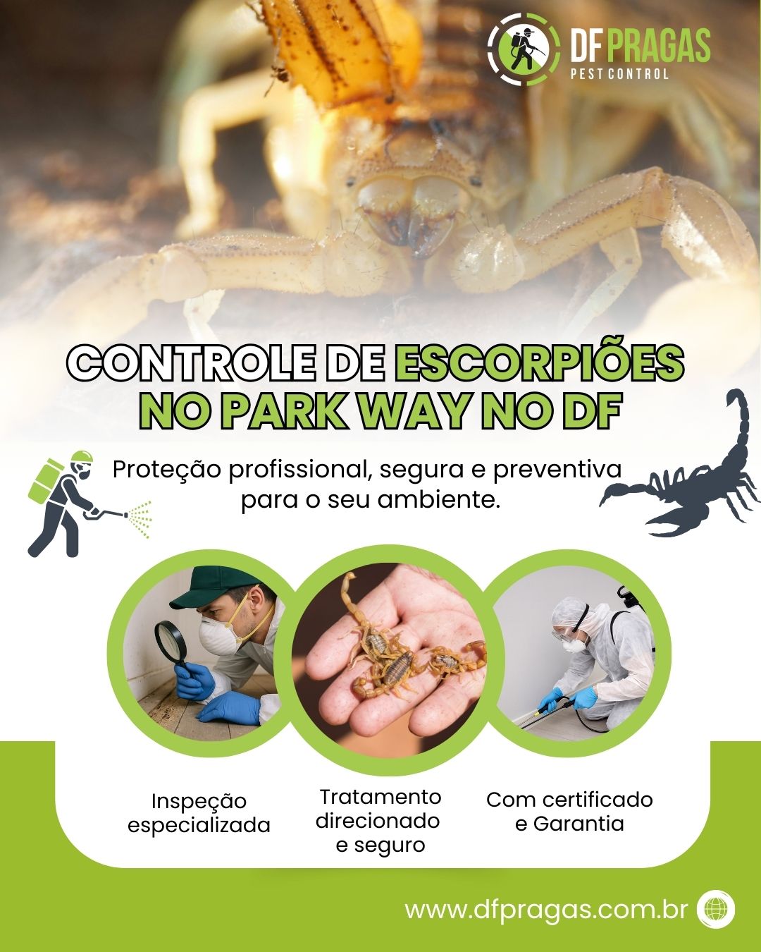 Controle de Escorpiões no Park Way DF - DF Pragas