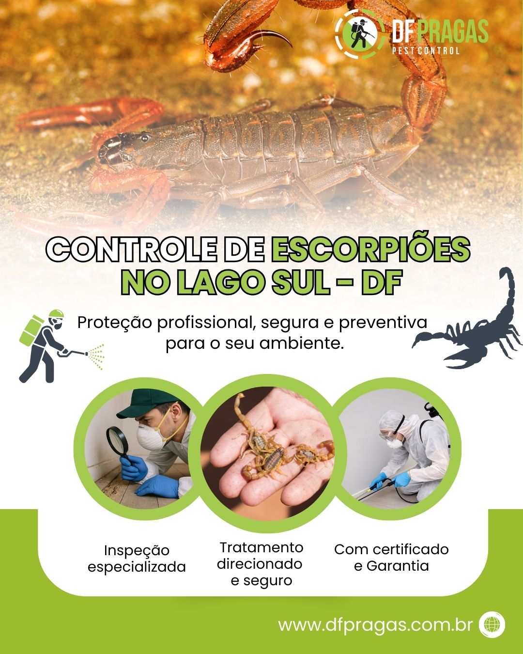 Controle de Escorpiões no Lago Sul DF - DF Pragas