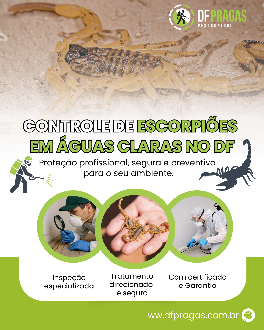 Controle de Escorpiões em Águas Claras DF - DF Pragas
