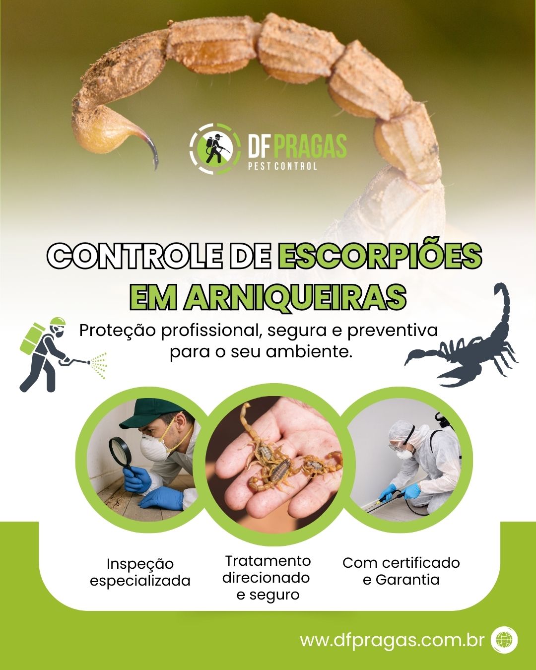 Controle de Escorpiões em Arniqueiras DF - DF Pragas