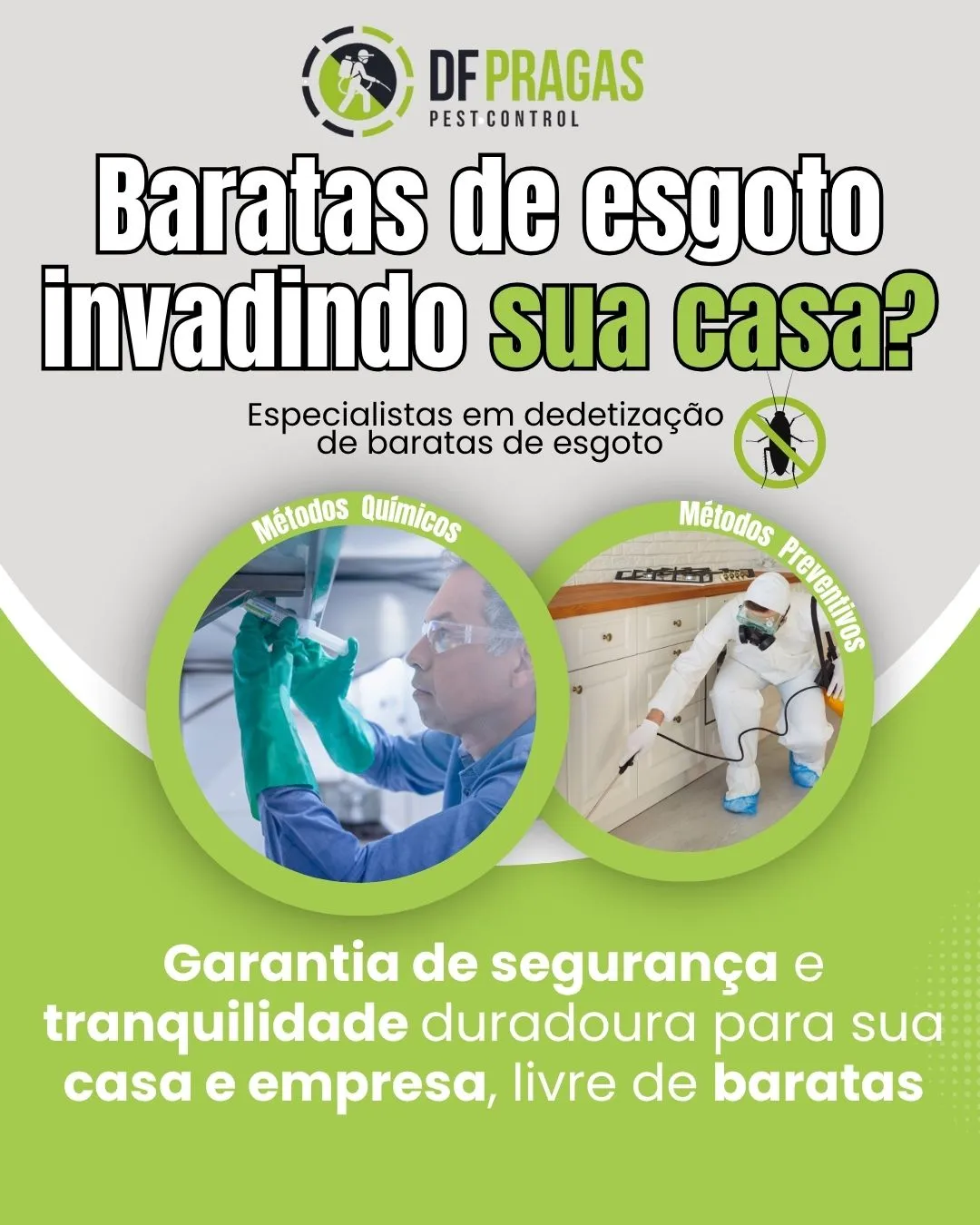 Dedetização de baratas de esgoto no DF pela DF PRAGAS (baratas de esgoto).