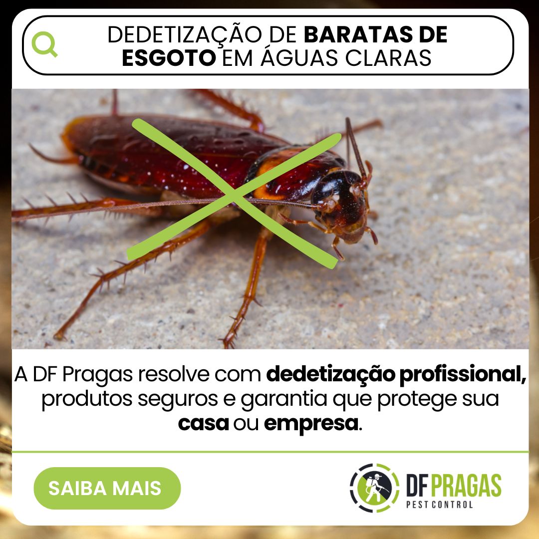 Dedetização de Baratas de Esgoto em Águas Claras no distrito Federal