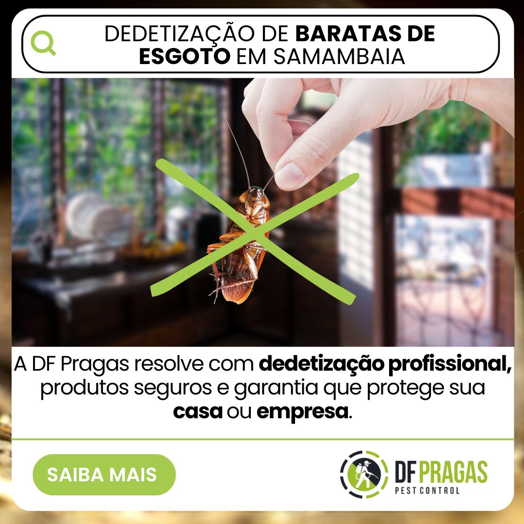Dedetização de baratas de esgoto em Samambaia: técnica removendo barata na cozinha; DF PRAGAS com tratamento profissional e garantia.