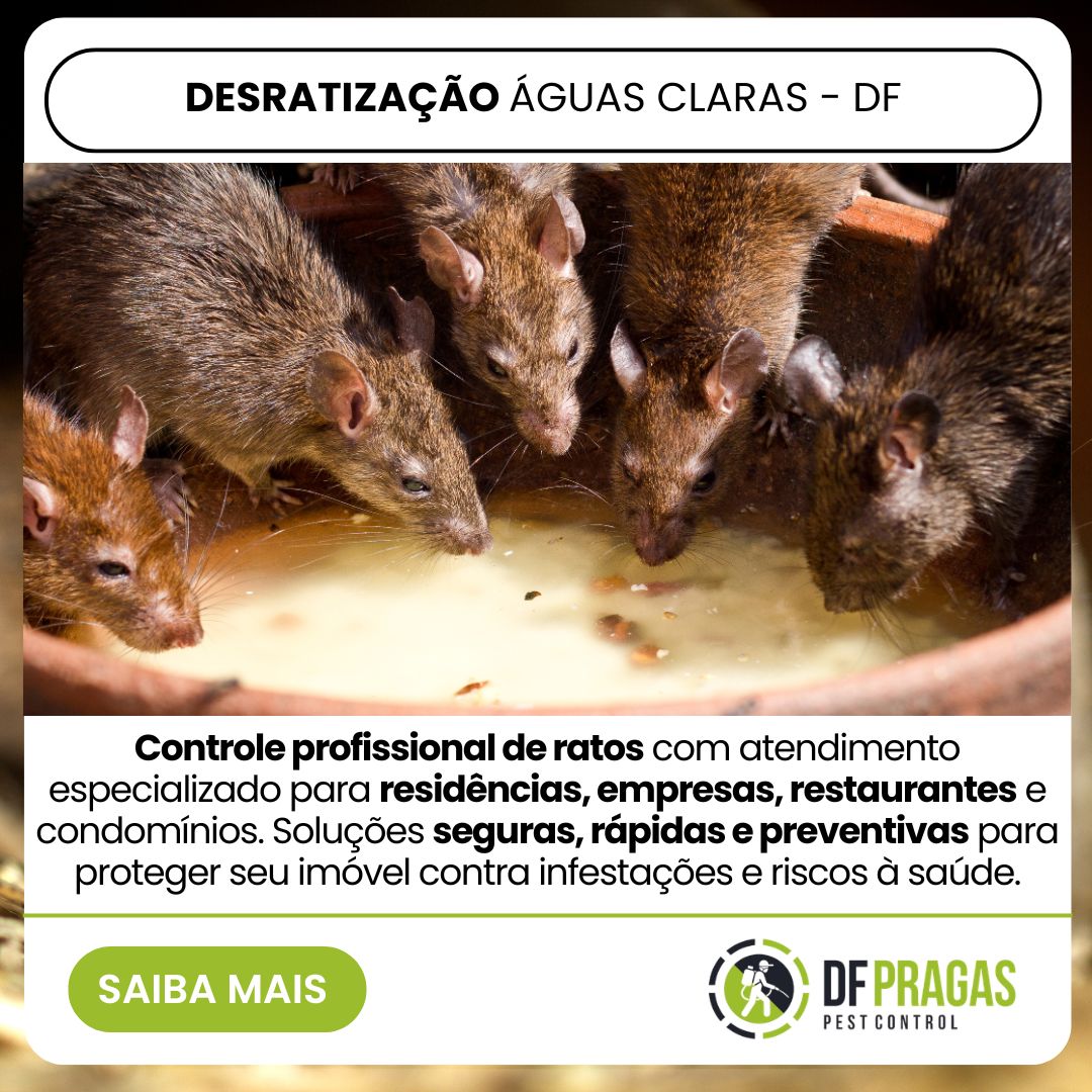 Desratização no plano piloto – df – Copy