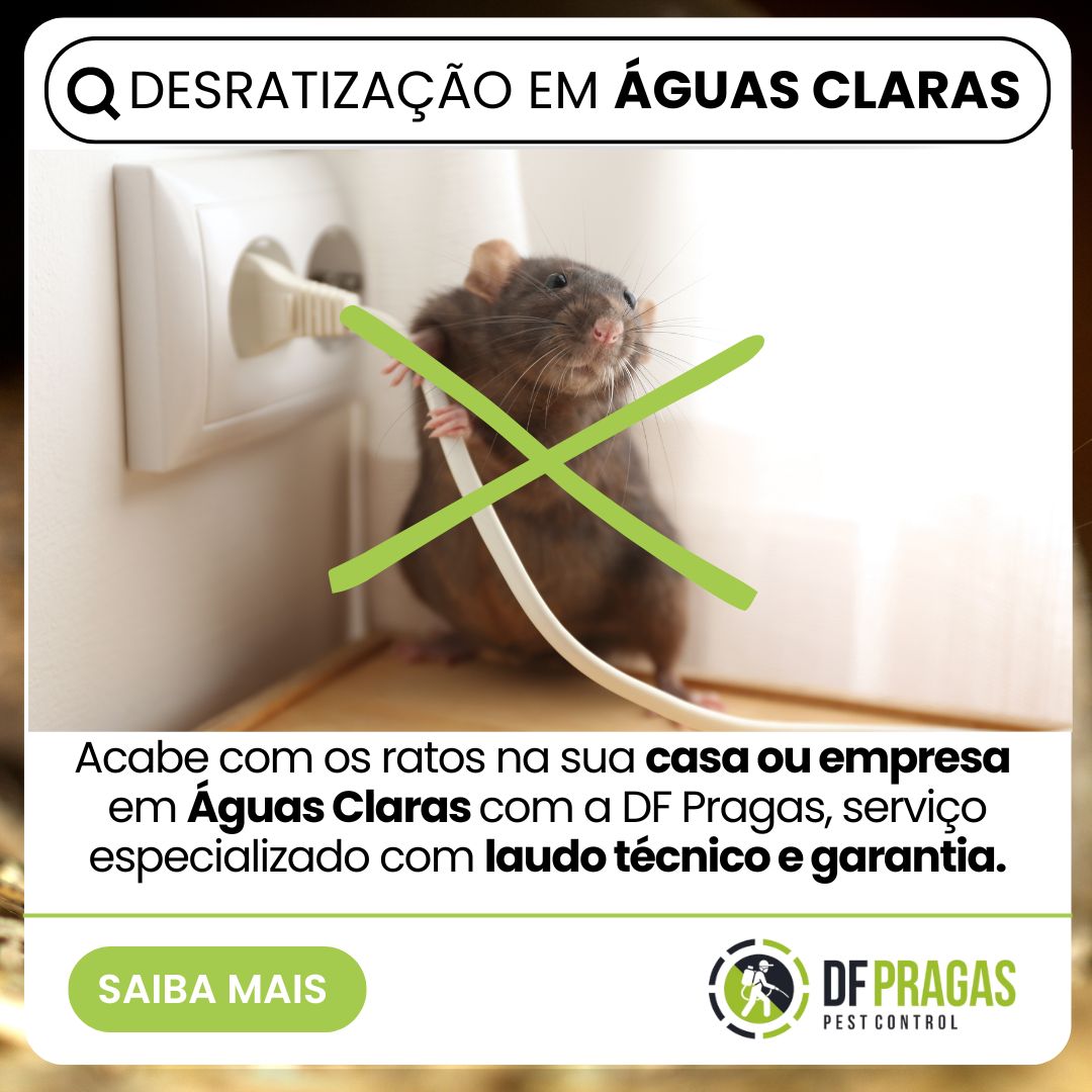 Desratização em Águas Claras com a DF Pragas. Controle de ratos em casas e empresas com laudo técnico, métodos seguros e garantia de eficácia.