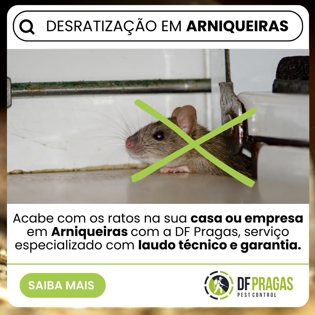 Desratização em Arniqueiras, Brasília: controle de ratos com laudo técnico e garantia pela DF PRAGAS, seguro para residências e comércios.