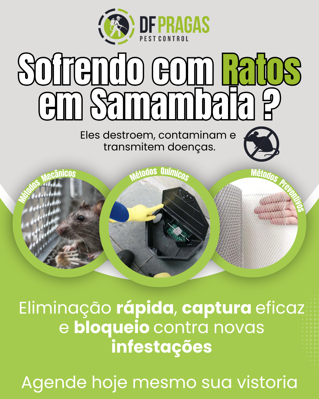 Serviço de desratização profissional em Samambaia para eliminar ratos.