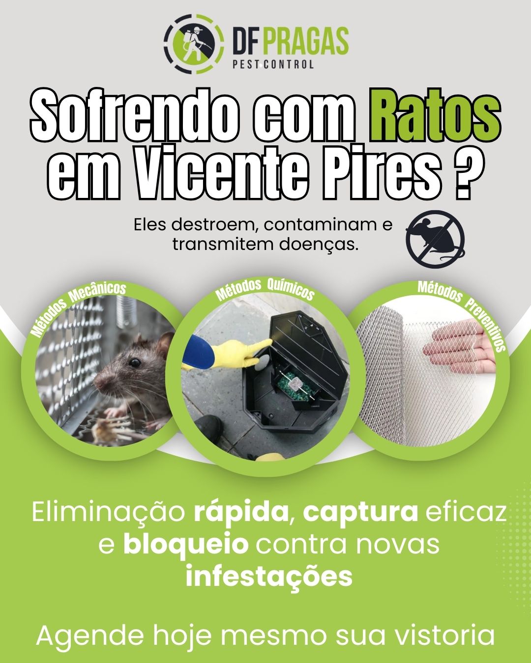 Serviço de desratização profissional em Vicente Pires para eliminar ratos.