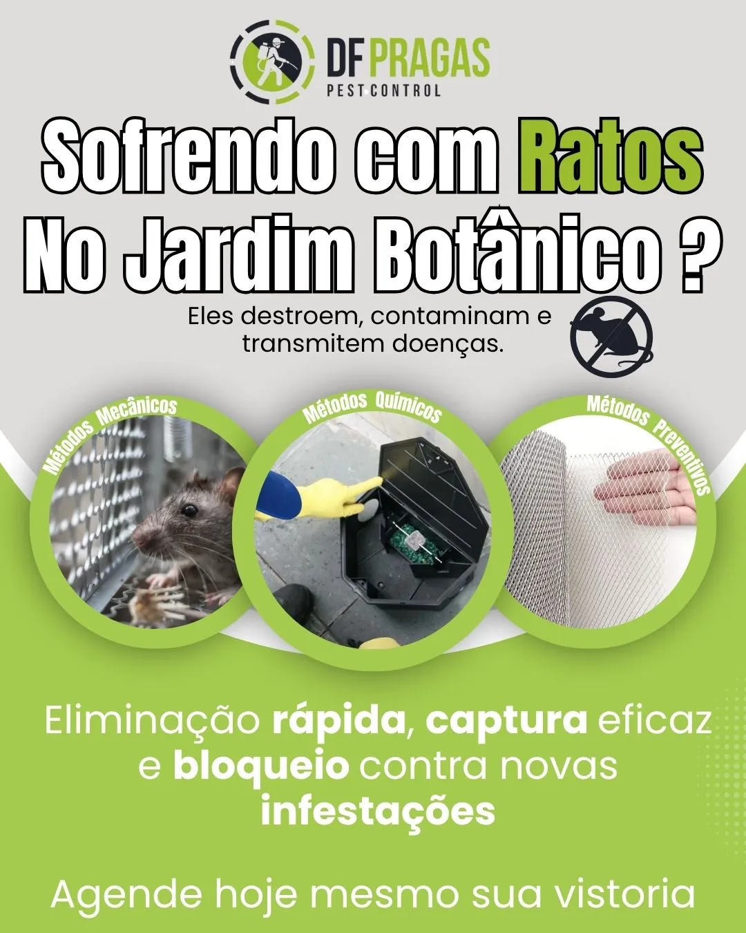 Serviço de desratização profissional no Jardim Botânico para eliminar ratos em casas e condomínios.