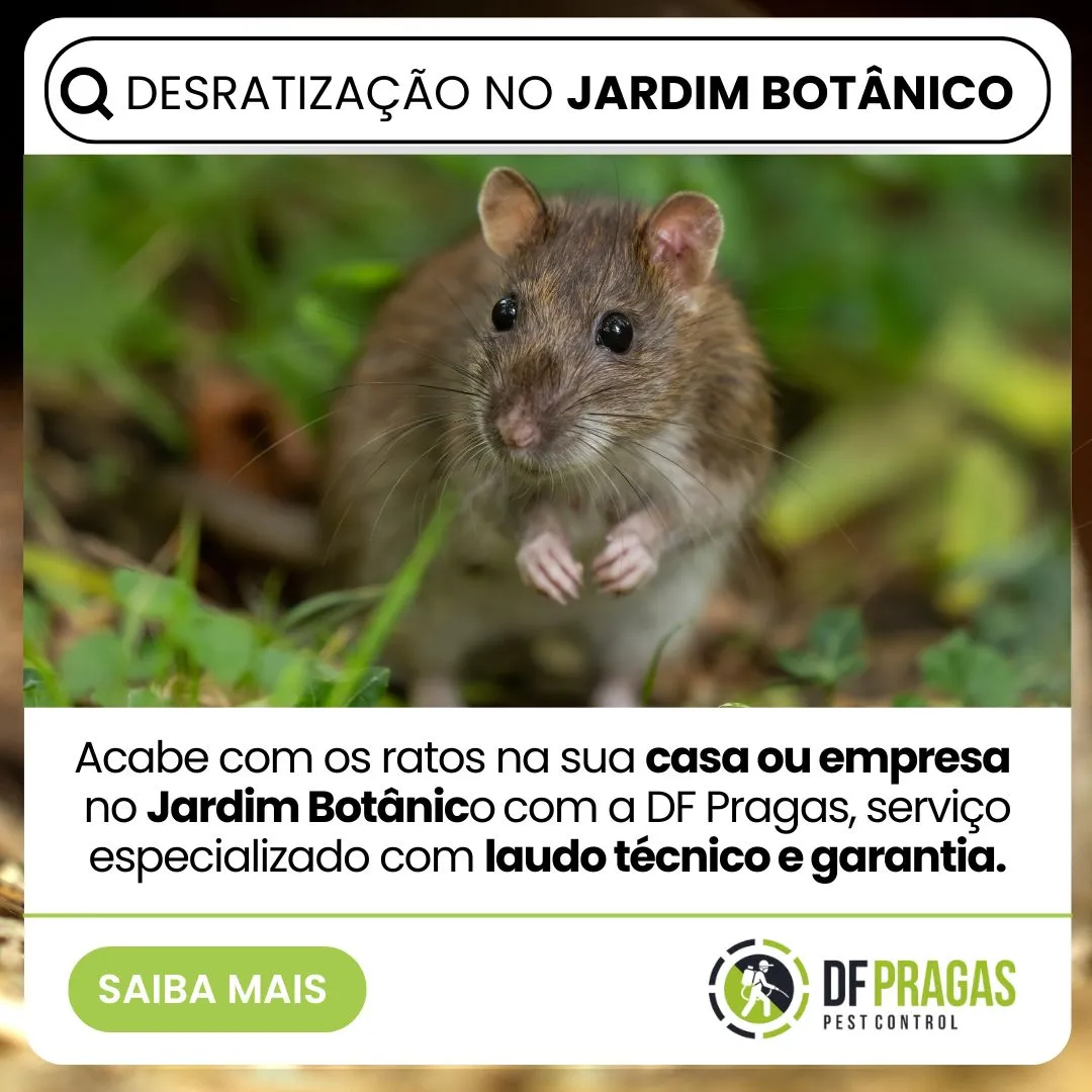 Desratização no Jardim Botânico em Brasília feita pela DF Pragas. Controle de ratos em residências e empresas com laudo técnico, métodos seguros e garantia de resultado.