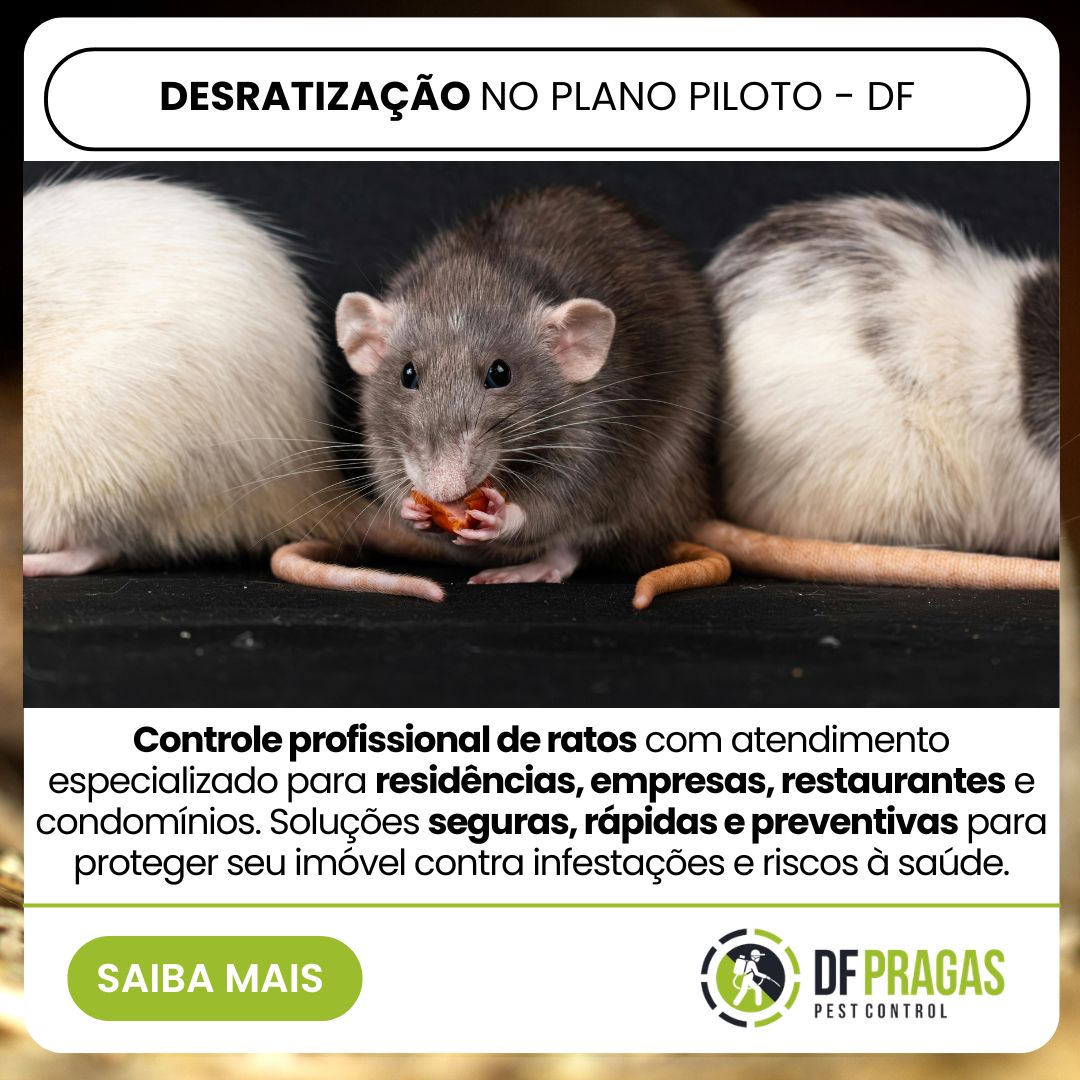 Desratização no plano piloto – df