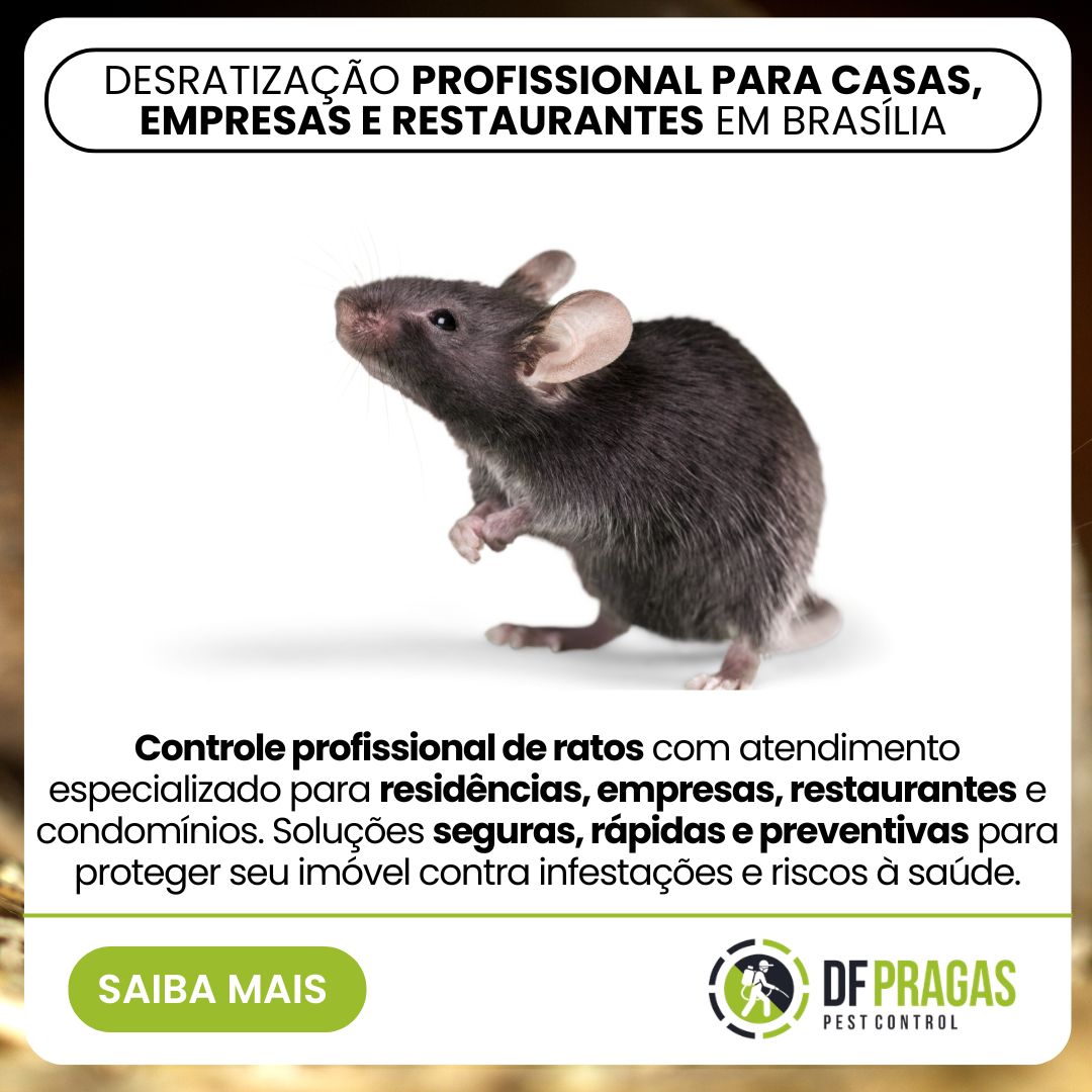 Desratização em Brasília