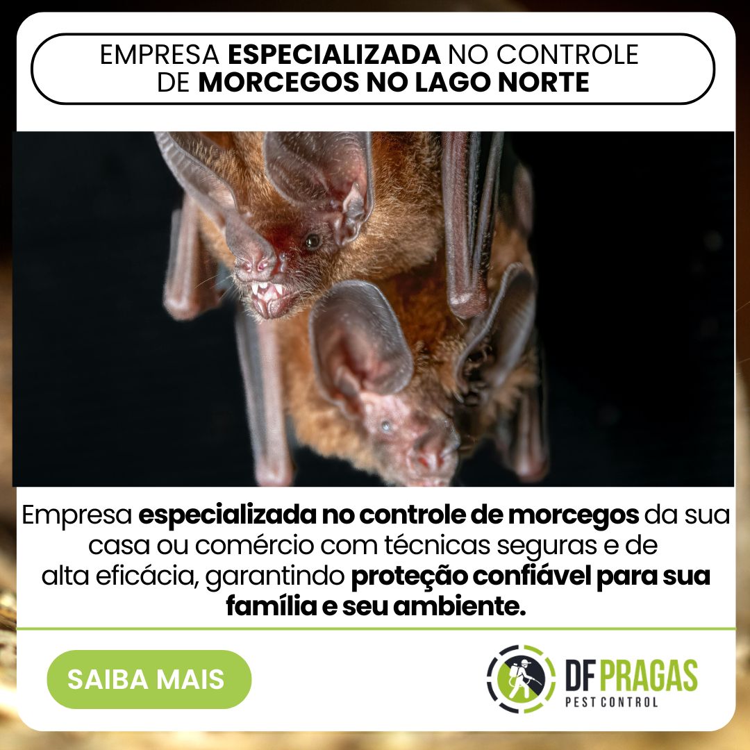 Empresa Especializada no controle de morcegos no Lago Norte