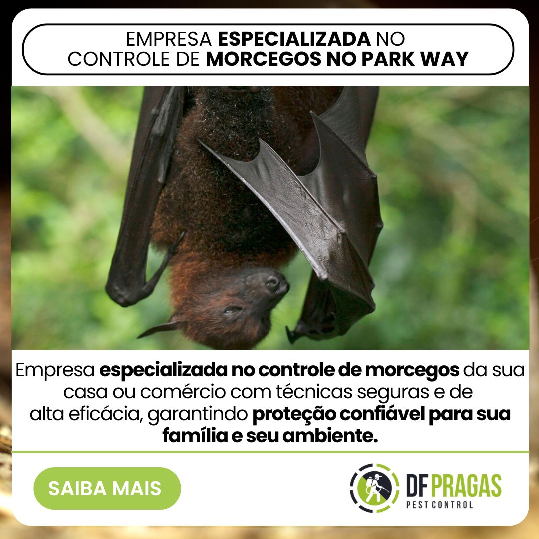 Empresa Especializada no controle de morcegos no park way