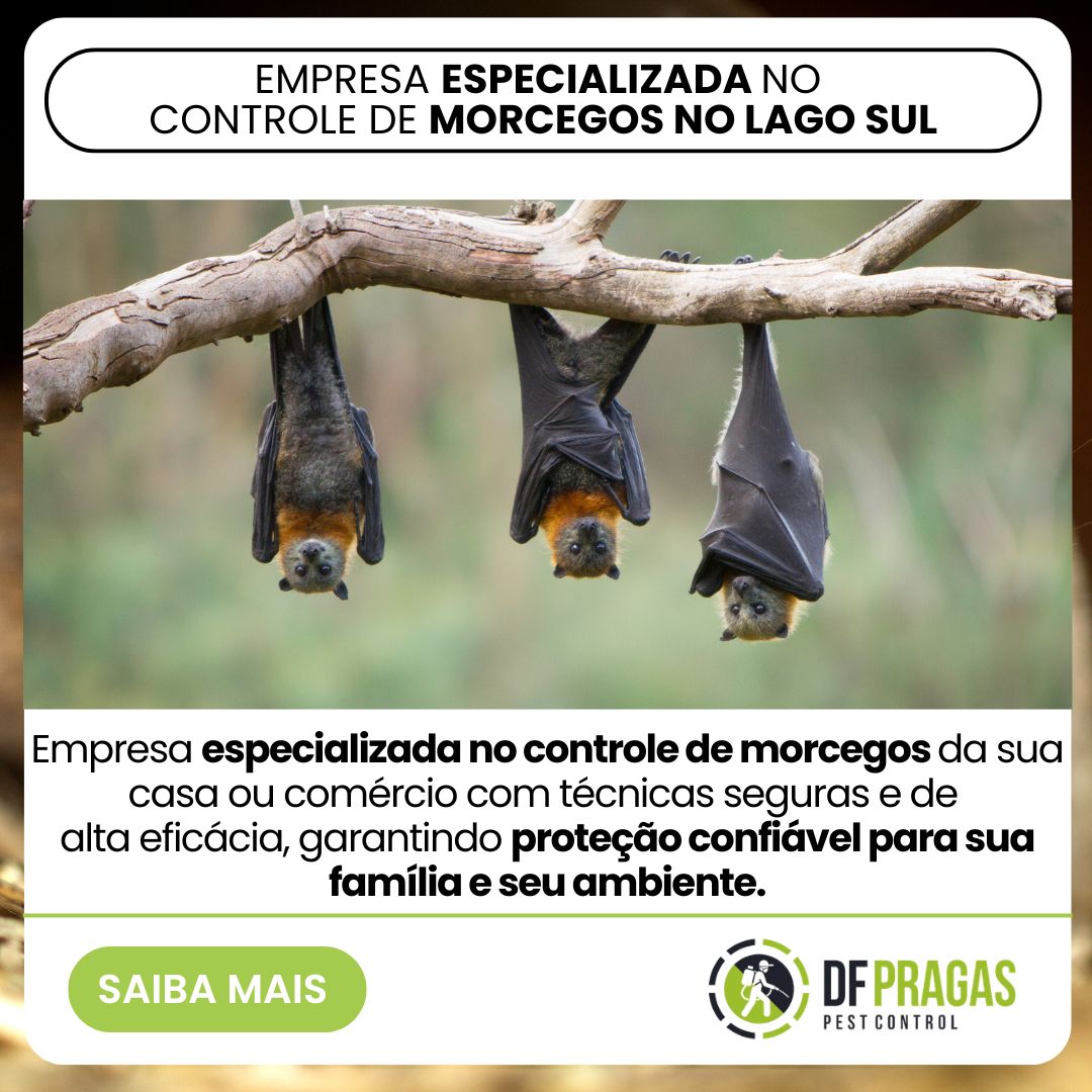 Empresa Especializada no controle de morcegos Lago Sul