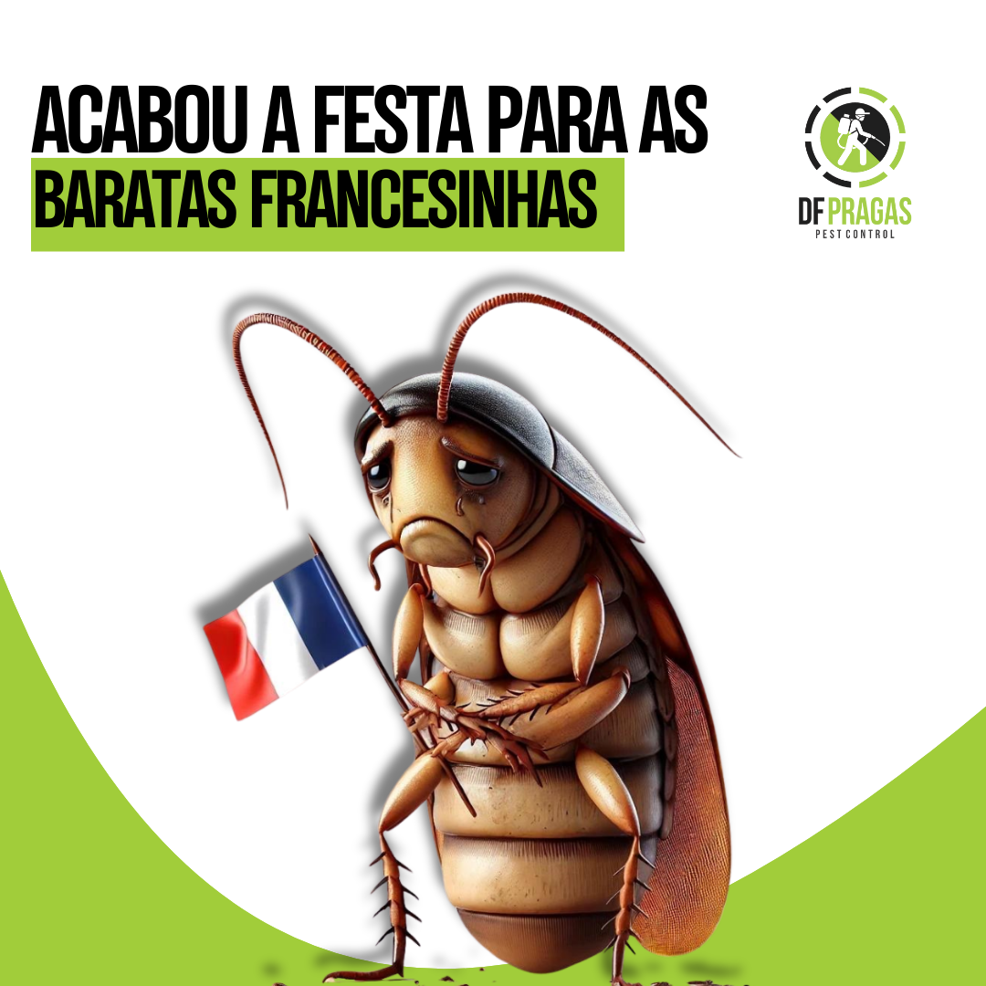 Barata segurando uma bandeira da França com o texto 'Acabou a festa para as baratas francesinhas', promovendo serviços de controle de pragas