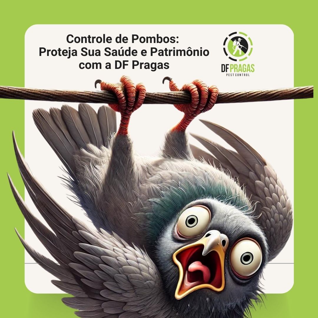 Imagem de um pombo assustado segurando uma corda, com o logotipo da DF Pragas ao lado e um texto sobre o serviço de controle de pombos