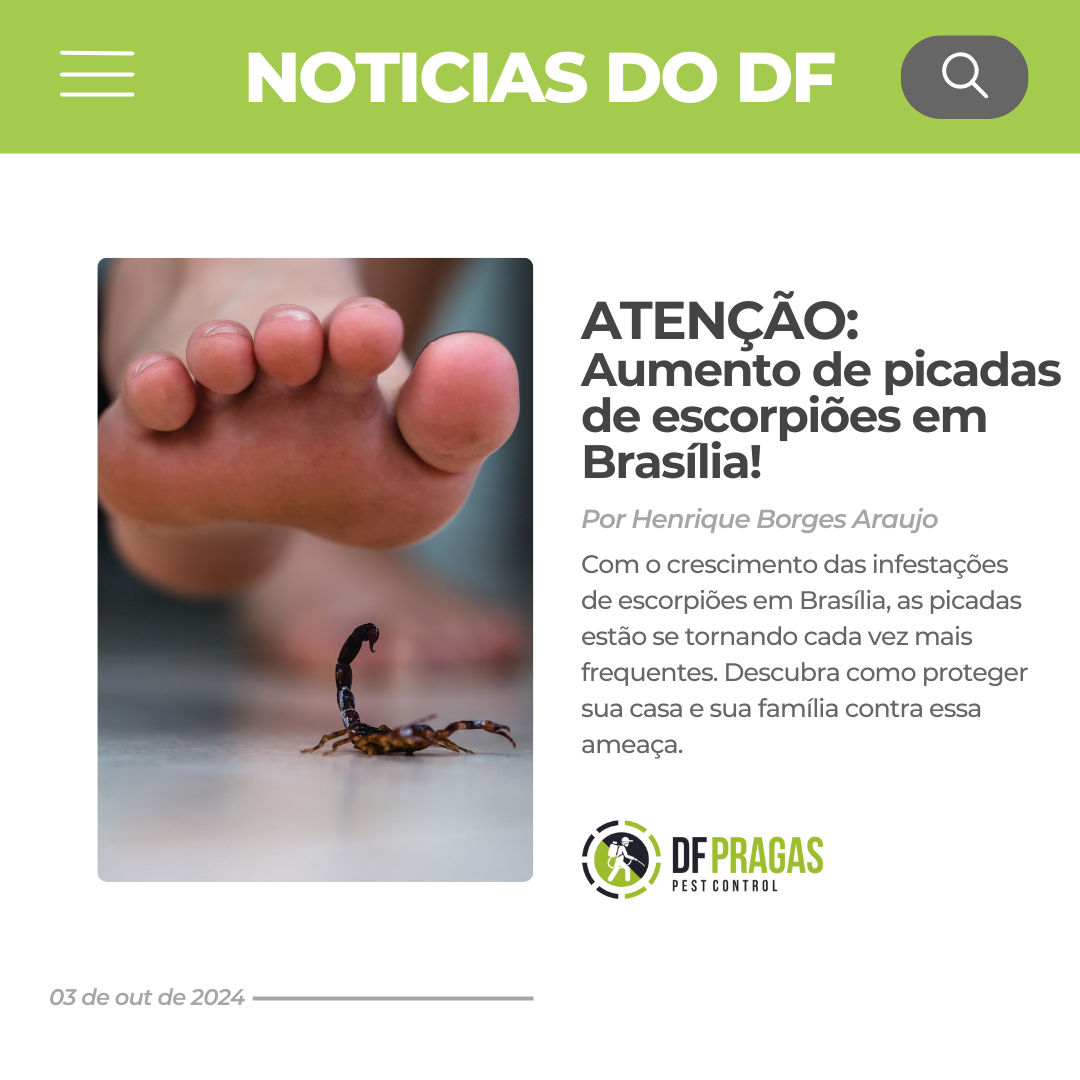 Pé descalço próximo a um escorpião no chão, com destaque para o aumento das picadas de escorpiões em Brasília.