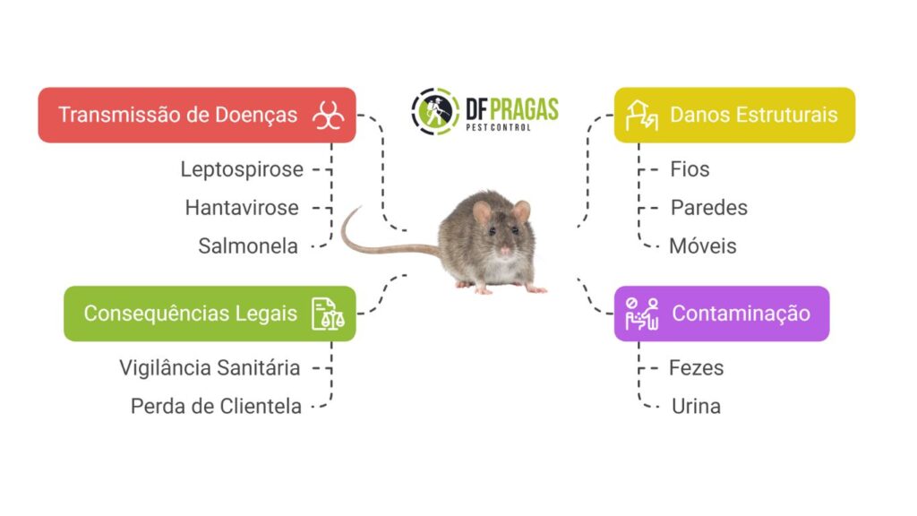 Infográfico sobre desratização em restaurante com destaque para os riscos causados por roedores, como doenças, contaminação, danos estruturais e problemas legais.