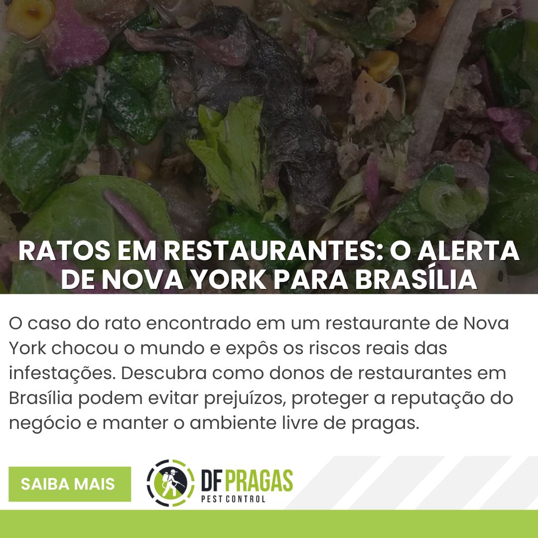 Rato morto encontrado em salada de restaurante, caso real de Nova York serve de alerta para restaurantes em Brasília sobre riscos de infestação e prejuízos à reputação.