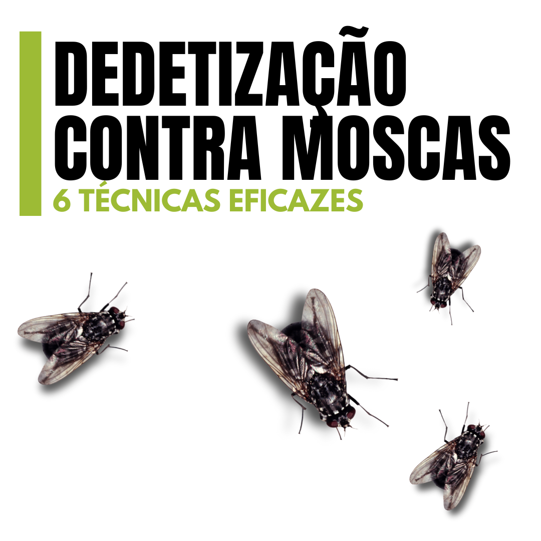 6 Técnicas Eficazes de Dedetização contra Moscas