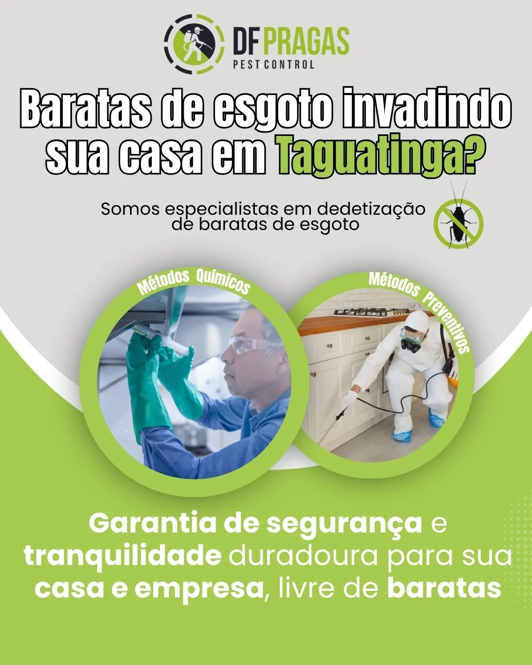 dedetização de baratas de esgoto em Taguatinga pela DF PRAGAS