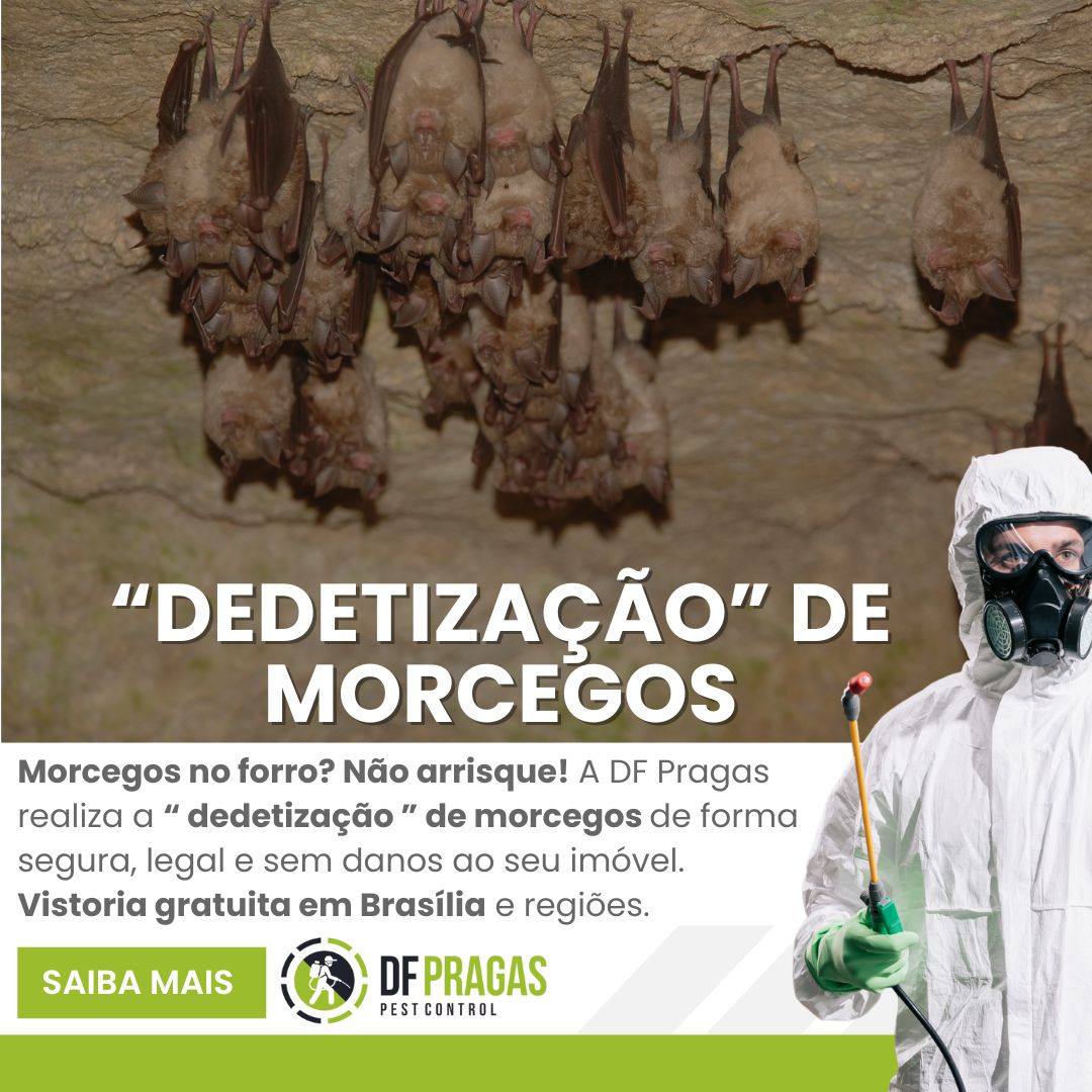 Técnico equipado realizando dedetização de morcegos em Brasília com segurança e métodos legalizados pela DF Pragas.