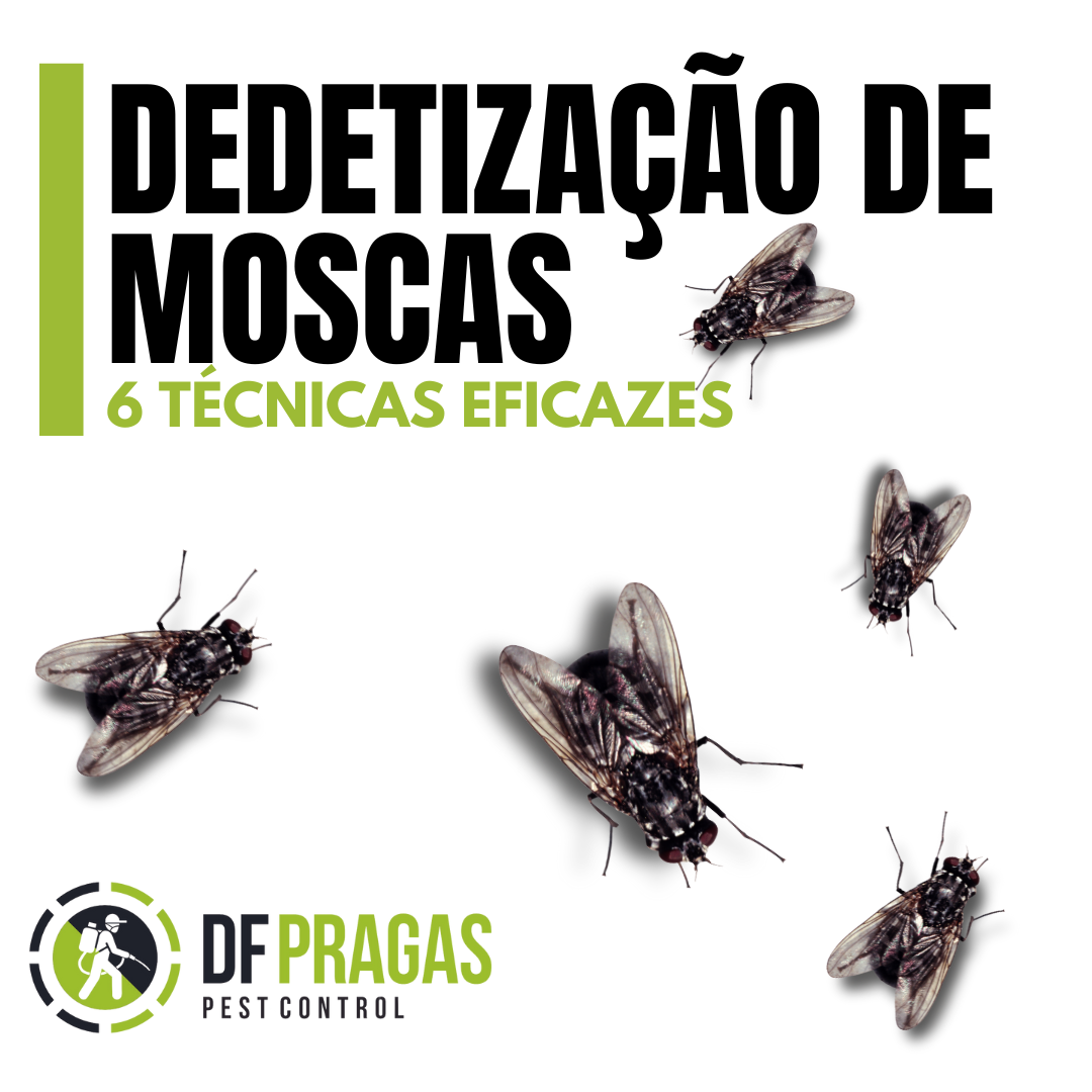 Imagem ilustrativa com moscas e texto "Dedetização de Moscas - 6 Técnicas Eficazes", promovendo controle de moscas pela DF Pragas em Brasília.