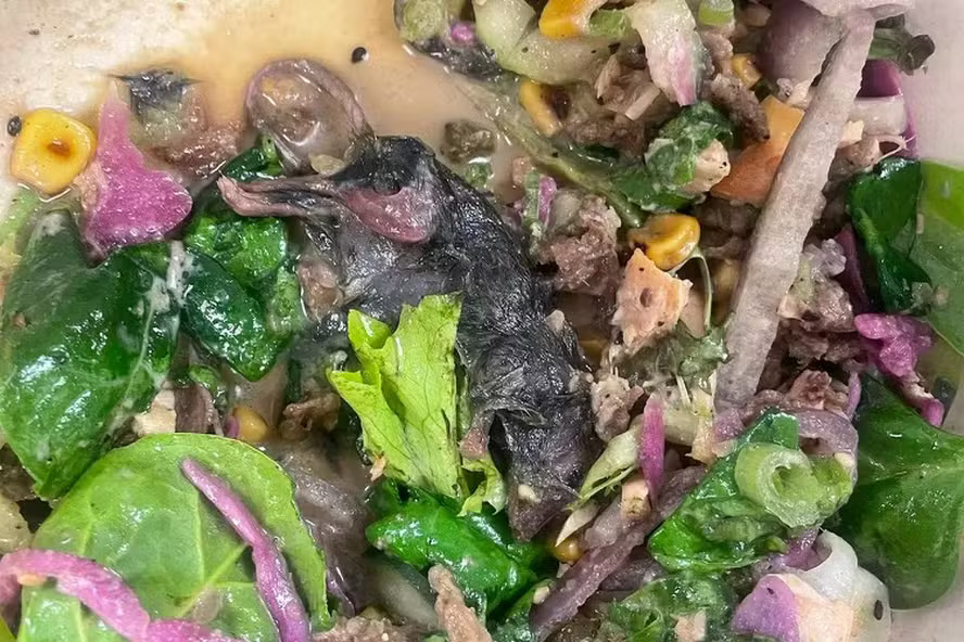 Rato em Restaurante